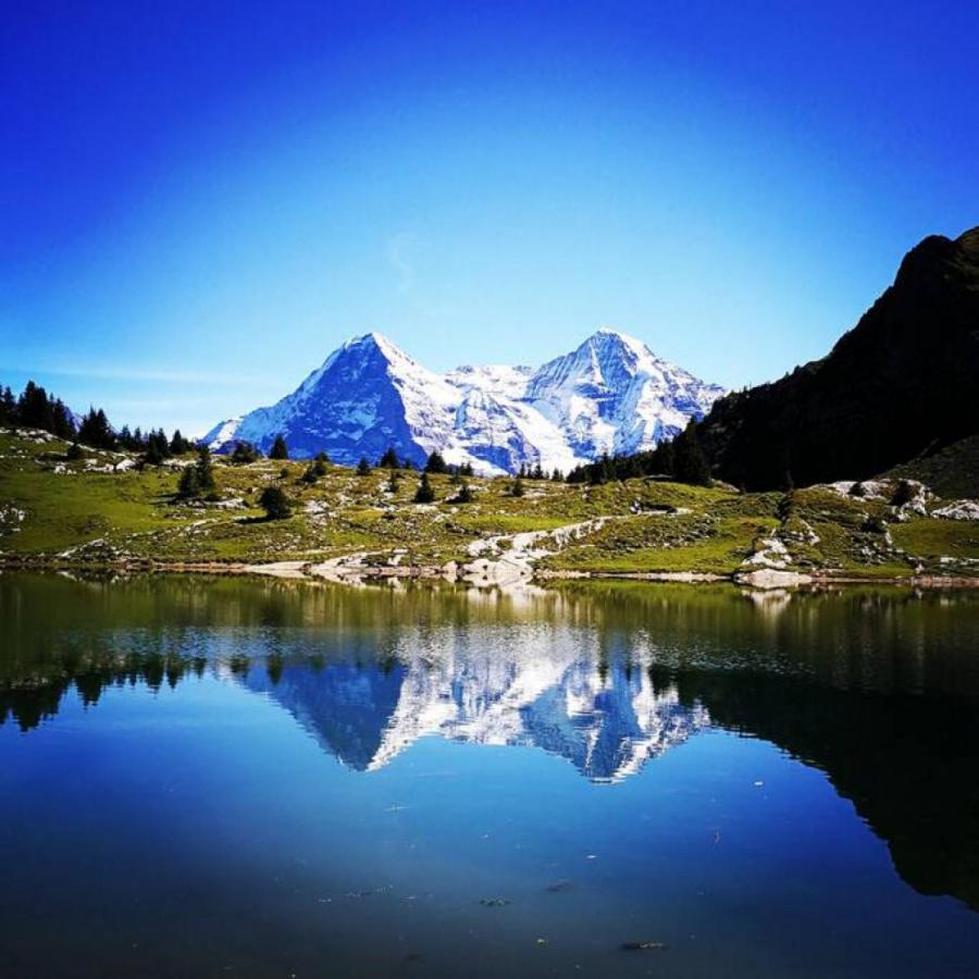 Swisshut Stunning Views Alps Lake - Chalet Erli Därligen Exterior foto