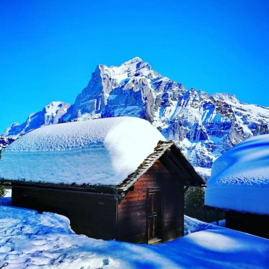 Swisshut Stunning Views Alps Lake - Chalet Erli Därligen Exterior foto